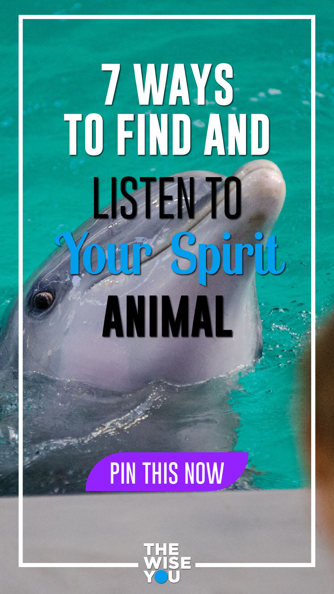 7 Ways to Find and Listen to Your Spirit Animal